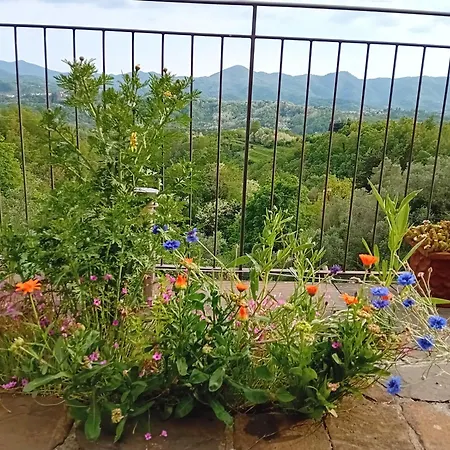 Cinque Terre Da Bea アパート *